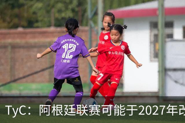 TyC：阿根廷联赛可能于2027年改制，30队将实行单循环赛制